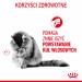 ROYAL CANIN FCN Hairball Care - sucha karma dla kota dorosłego - 2 kg - Galeria zdjęcie 9