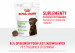 ROYAL CANIN Supplements Dog Digestion Adult - suplementy dla psa - 160g - Galeria zdjęcie 6