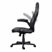 Fotel gamingowy TRUST GXT703 RIYE GAMING CHAIR BLACK (25128) - Galeria zdjęcie 4