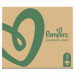 08001090379498_81765798_PRODUCTIMAGE_INPACKAGE_FRONT_CENTER_1_Pampers.jpg