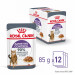 ROYAL CANIN FCN Appetite Control w sosie - mokra karma dla kota dorosłego - 12x85g - Galeria zdjęcie 2