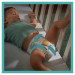 08006540032688_81753114_ECOMMERCECONTENT_ENHANCEDCONTENTTOOLKIT_FRONT_LEFT_1_Pampers.jpg