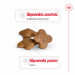 ROYAL CANIN Mini Adult +8 - sucha karma dla psa - 2 kg - Galeria zdjęcie 8