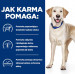  HILL'S Prescription Diet D/D Food Sensitivities, duck and rice - sucha karma dla psa - 4 kg - Galeria zdjęcie 3
