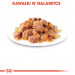ROYAL CANIN FHN Sterilised w galaretce - mokra karma dla kota dorosłego - 12x85g - Galeria zdjęcie 10