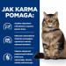 HILL'S Prescription Diet Gastrointestinal Biome z kurczakiem - sucha karma dla kota - 1,5 kg - Galeria zdjęcie 3