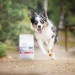VET EXPERT Raw Paleo Ultra Medium&Large Puppy Wołowina - sucha karma dla szczeniąt - 10kg - Galeria zdjęcie 5