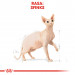 ROYAL CANIN FBN Sphynx Adult - sucha karma dla dorosłego kota - 2kg - Galeria zdjęcie 5