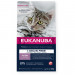 EUKANUBA Grain Free Kitten Salmon - sucha karma dla kota - 2kg - Galeria zdjęcie 1