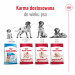 ROYAL CANIN SHN Medium Adult - sucha karma dla psa - 15 kg - Galeria zdjęcie 10