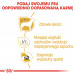 ROYAL CANIN BHN Maltese Adult - sucha karma dla psa dorosłego - 500 g - Galeria zdjęcie 7
