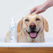 VetExpert Hypoallergenic Shampoo - Pielęgnacja dla psów i kotów - 250ml - Galeria zdjęcie 4