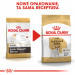ROYAL CANIN BHN Jack Russell Terrier Adult - sucha karma dla psa dorosłego - 1,5 kg - Galeria zdjęcie 8
