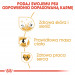 ROYAL CANIN BHN Cocker Adult - sucha karma dla psa dorosłego - 12 kg - Galeria zdjęcie 6