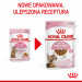 ROYAL CANIN FHN Kitten Sterilised w sosie - mokra karma dla kociąt - 12x85 g - Galeria zdjęcie 7