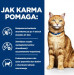 HILL'S Prescription Diet C/D Urinary Care - sucha karma dla kota - 3 kg - Galeria zdjęcie 3