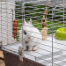 FERPLAST Rabbit 100 - klatka dla królika - Galeria zdjęcie 7