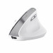 Mysz Trust BAYO II ERGONOMIC WIRELESS White (25398) - Galeria zdjęcie 1