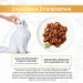Gourmet Gold MIX SMAKÓW MIĘSNYCH - mokra karma dla kota - 24x85 g - Galeria zdjęcie 19