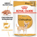ROYAL CANIN BHN Chihuahua Adult - mokra karma dla psa dorosłego - 12x85 g - Galeria zdjęcie 3
