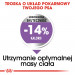 ROYAL CANIN CCN MINI STERILISED - sucha karma dla psa dorosłego - 3kg - Galeria zdjęcie 7