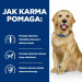 HILL'S Prescription Diet Mobility j/d - sucha karma dla psa - 12kg - Galeria zdjęcie 2