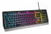 GENESIS KLAWIATURA GAMINGOWA RHOD 300 RGB US - Galeria zdjęcie 1