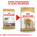 ROYAL CANIN BHN Bulldog Adult - sucha karma dla psa dorosłego - 12 kg - Galeria zdjęcie 8