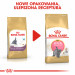 Royal Canin FBN British Shorthair Kitten - sucha karma dla kociąt - 2 kg - Galeria zdjęcie 7