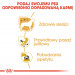 ROYAL CANIN BHN Chihuahua Adult - mokra karma dla psa dorosłego - 12x85 g - Galeria zdjęcie 7