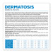 VET EXPERT Veterinary Diet Dermatosis Dog Rabbit & Potato - sucha karma dla psa - 12kg - Galeria zdjęcie 4