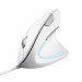 Mysz TRUST Verto ERGO vertical ergonomic White (25133) - Galeria zdjęcie 1