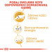 Royal Canin FBN Maine Coon Adult - mokra karma dla dorosłego kota - 12x85 g - Galeria zdjęcie 6