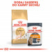 ROYAL CANIN FBN Sphynx Adult - sucha karma dla dorosłego kota - 2kg - Galeria zdjęcie 11