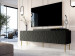 Szafka RTV JUNGLE 190x40,5x59,5 czarny mat + złote nóżki - Galeria zdjęcie 6