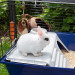 FERPLAST Rabbit 120 - klatka dla królika - Galeria zdjęcie 5