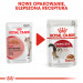 ROYAL CANIN FHN Instinctive w sosie - mokra karma dorosłych kotów - 12x 85 g - Galeria zdjęcie 4