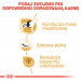 ROYAL CANIN BHN French Bulldog Adult - sucha karma dla psa dorosłego - 3kg - Galeria zdjęcie 4