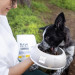 VET EXPERT Raw Paleo Ultra Medium&Large Puppy Indyk - sucha karma dla szczeniąt - 2kg - Galeria zdjęcie 6