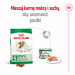 ROYAL CANIN Mini Ageing 12+ - sucha karma dla psa - 3,5 kg - Galeria zdjęcie 9