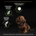 PURINA PRO PLAN Puppy Small & Mini - sucha karma dla szczeniąt - 7kg - Galeria zdjęcie 3