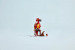 LEGO HARRY POTTER 76448 FAWKES™: DUMBLEDORE'S PHOENIX - Galeria zdjęcie 8