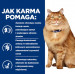 HILL'S PD K/D Kidney + Mobility Chicken - sucha karma dla kota - 3 kg - Galeria zdjęcie 5