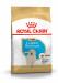 ROYAL CANIN BHN Golden Retriever Puppy - sucha karma dla szczeniąt - 12 kg - Galeria zdjęcie 1