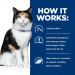 HILL'S Prescription Diet Thyroid Care Feline y/d - karma dla kota z chorą tarczycą - puszka 6x156g - Galeria zdjęcie 6