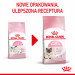 ROYAL CANIN FHN Mother&Babycat - sucha karma dla kociąt - 4kg - Galeria zdjęcie 10