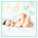 Pieluszki Pampers Premium 4, 8-14kg 174 szt. - Galeria zdjęcie 3