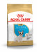 ROYAL CANIN BHN French Bulldog Puppy - sucha karma dla szczeniąt - 3 kg - Galeria zdjęcie 1