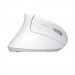 Mysz TRUST Verto Wireless vertical ergonomic White (25132) - Galeria zdjęcie 7