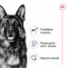 ROYAL CANIN SHN Maxi Adult - sucha karma dla psa dorosłego - 15 kg - Galeria zdjęcie 11